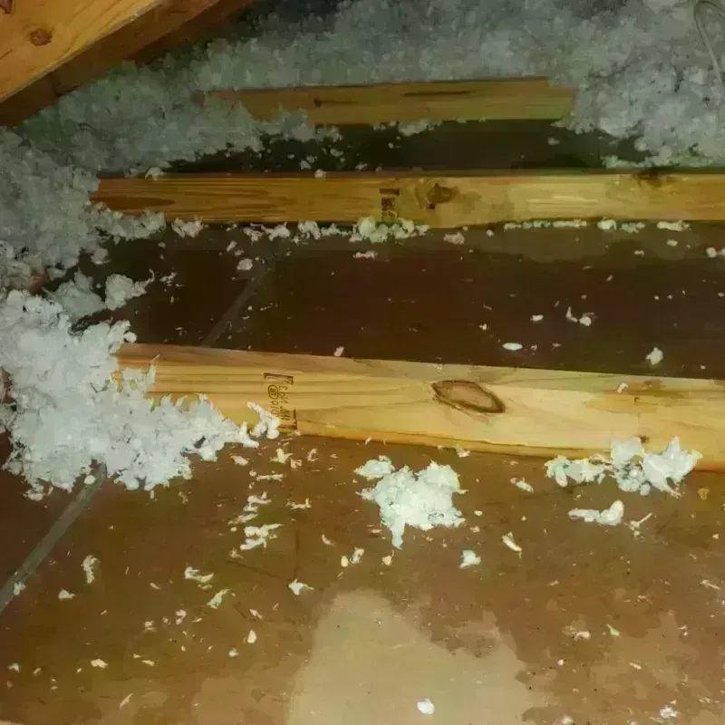 Attic Water Damage in Riverdale, UT