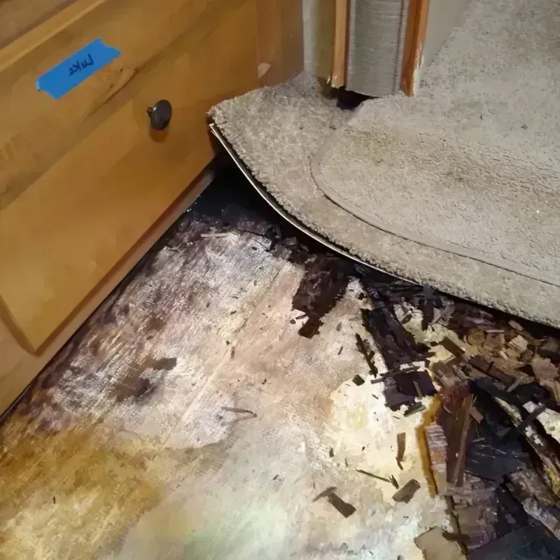 Wood Floor Water Damage in Riverdale, UT